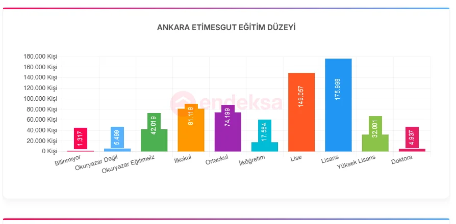 Etimesgut Eğitim Düzeyi